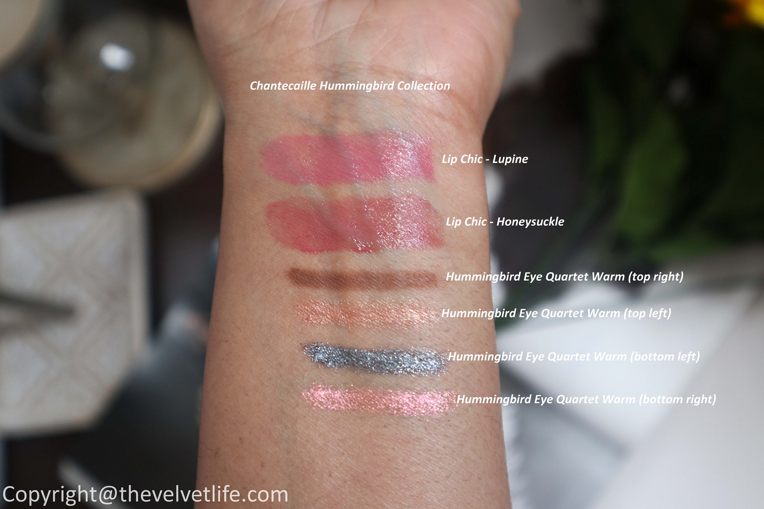 New Chantecaille Hummingbird Collection review and swatches of Eye Quartet in warm and Lip chic in shades honeysuckle, lupine spring 2020