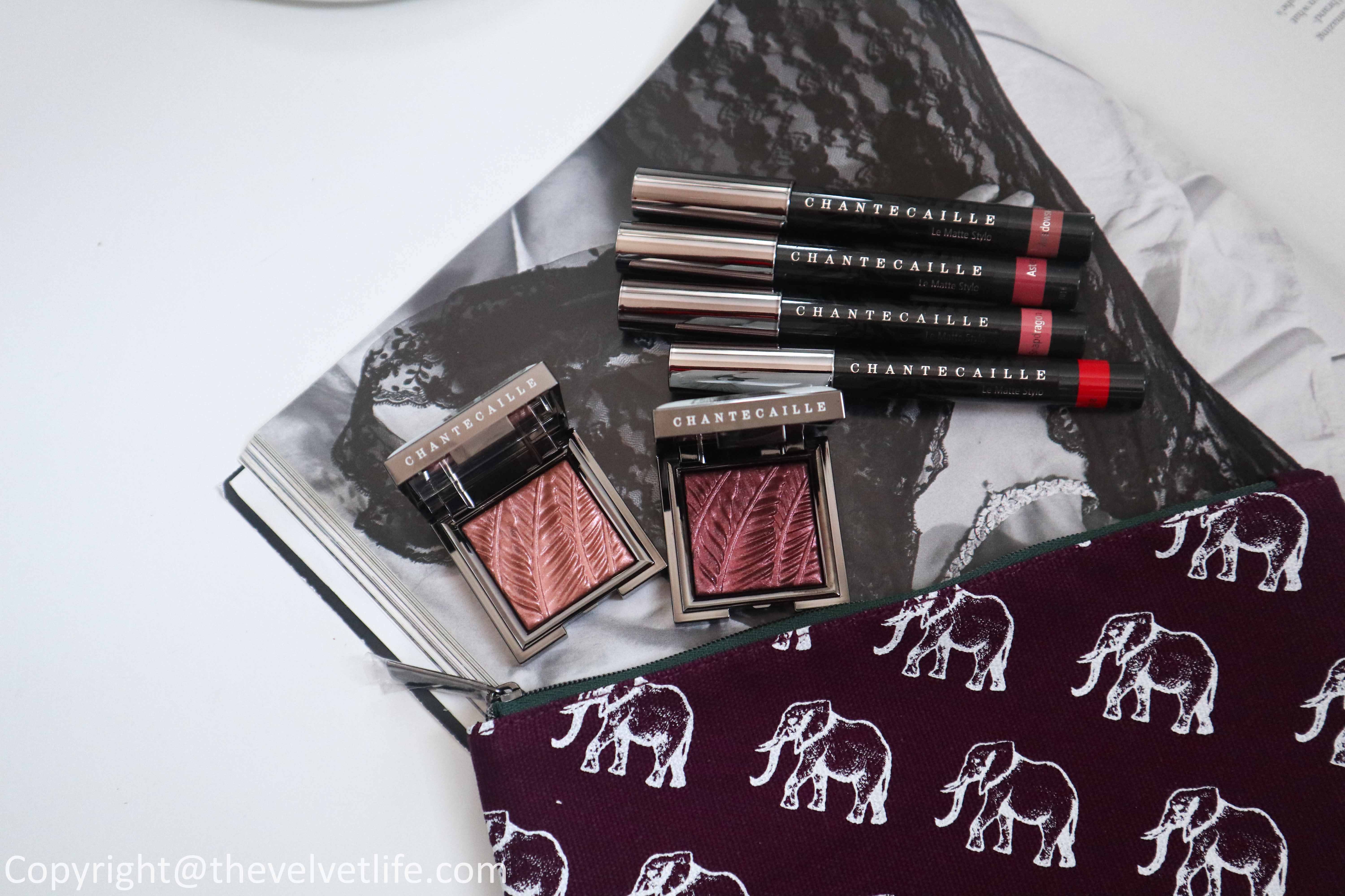 Chantecaille Holiday 2020 Makeup Collection review swatches Luminescent Eye Shade and Le Matte Stylo